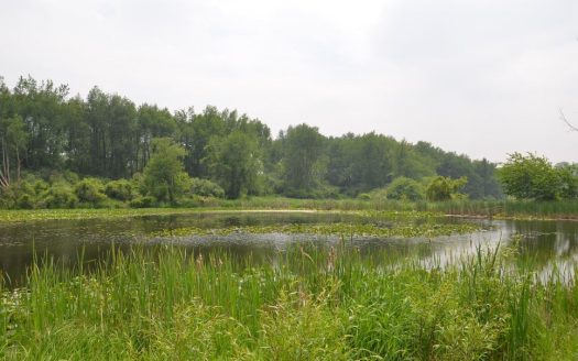 177 acres of land for sale Kalamazoo