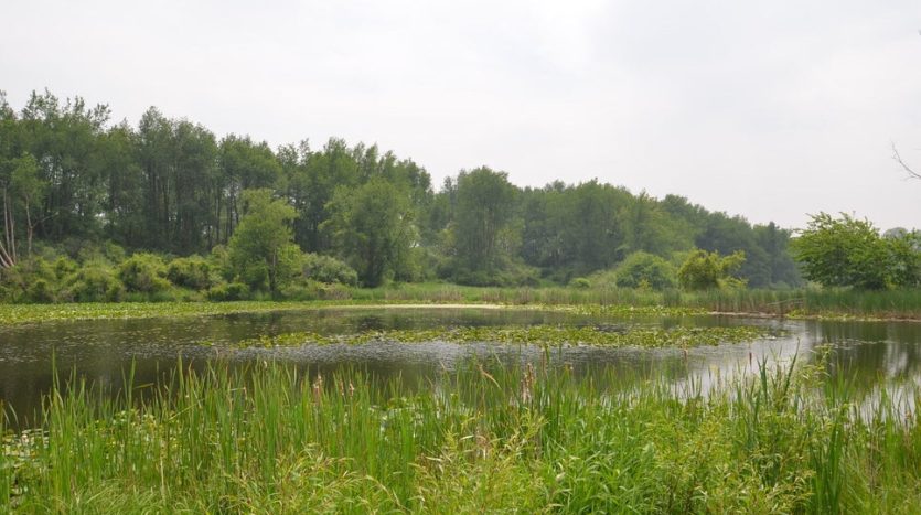 177 acres of land for sale Kalamazoo