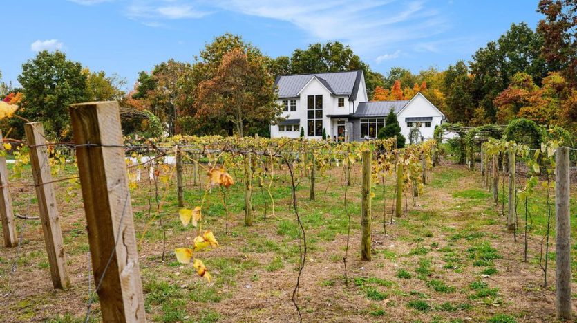 country home with vineyards